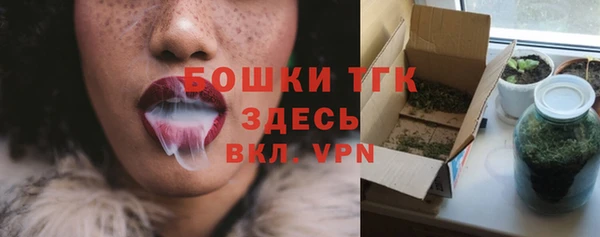 эйфоретик Покачи