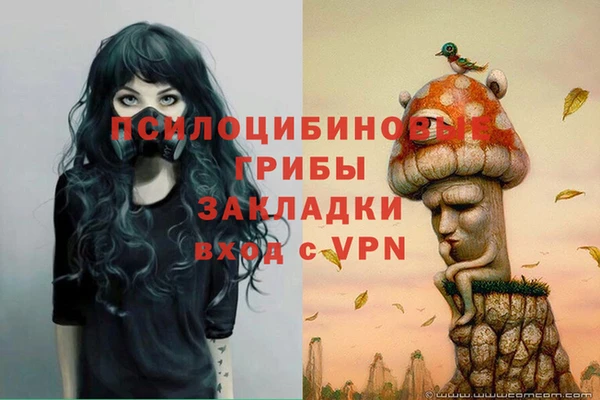 ALPHA-PVP Алексеевка