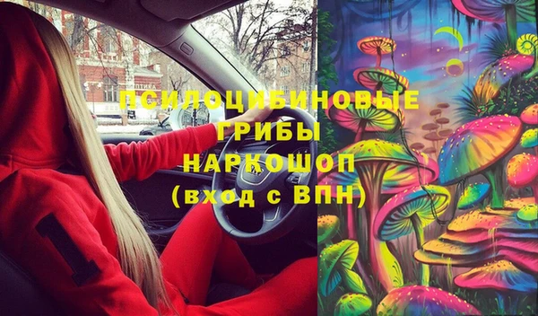 стафф Алзамай