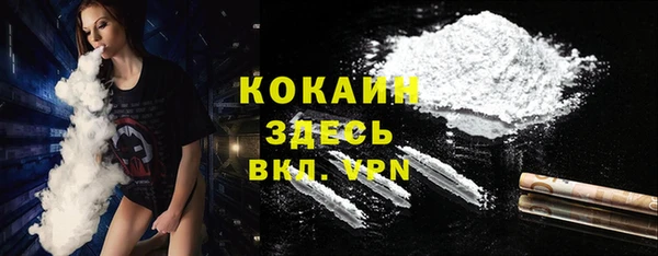 стафф Алзамай